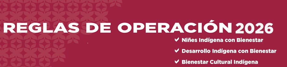 Reglas de operación 2026